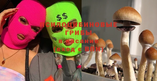 мяу мяу мука Белоозёрский