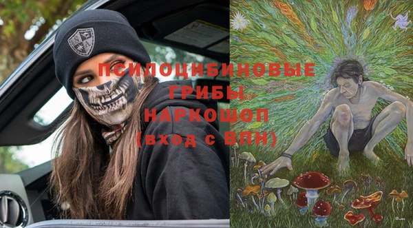 прущий лед Белокуриха