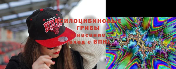прущий лед Белокуриха