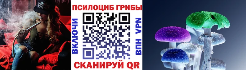 Псилоцибиновые грибы мухоморы  кракен как зайти  Южа 